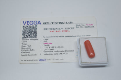 Red Coral Gemstone- Moonga