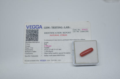 Red Coral Gemstone- Moonga